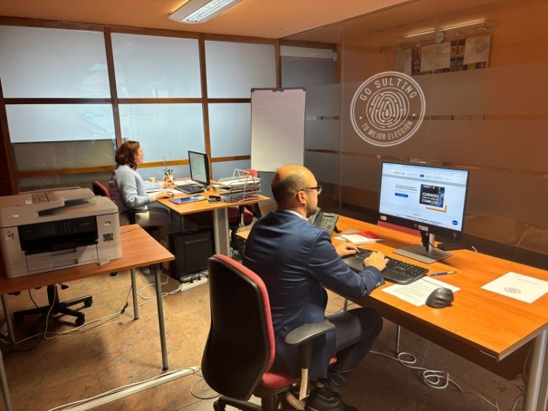 COSULTORÍA GO SULTING que es go sulting